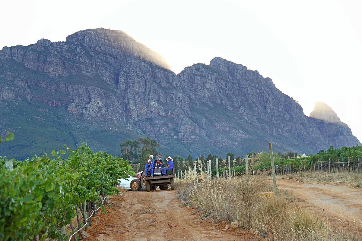 Muratie Wine Estate Stellenbosch Eksteriør bilde