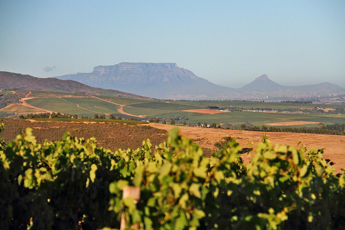 Muratie Wine Estate Stellenbosch Eksteriør bilde