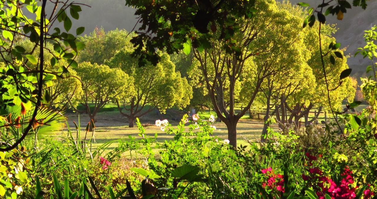 Muratie Wine Estate Stellenbosch Eksteriør bilde